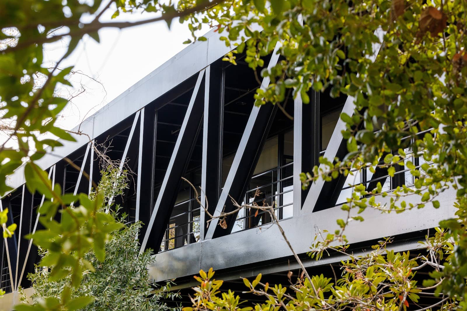 Artist Alleys & Markets