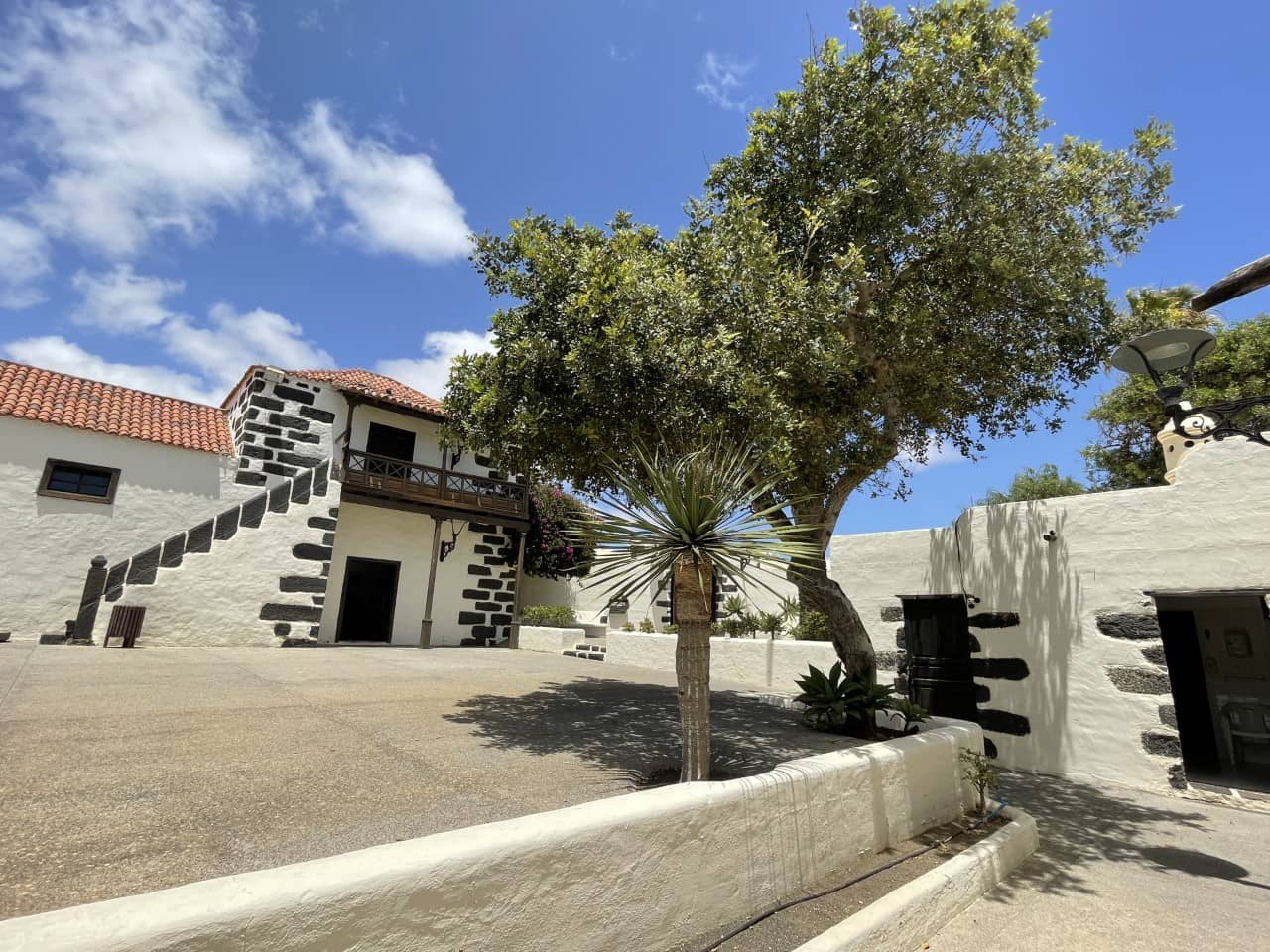 Cultural Events & Exhibitions