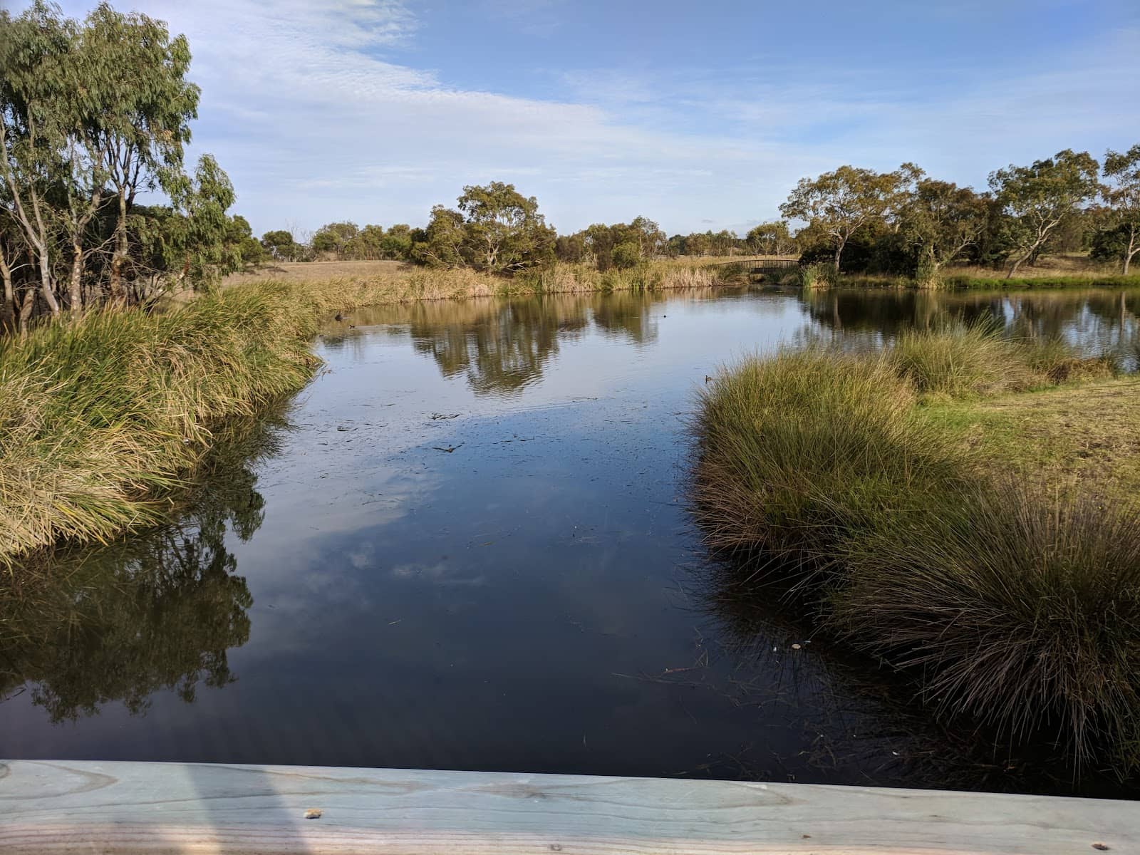 Bird Aviary Exploration