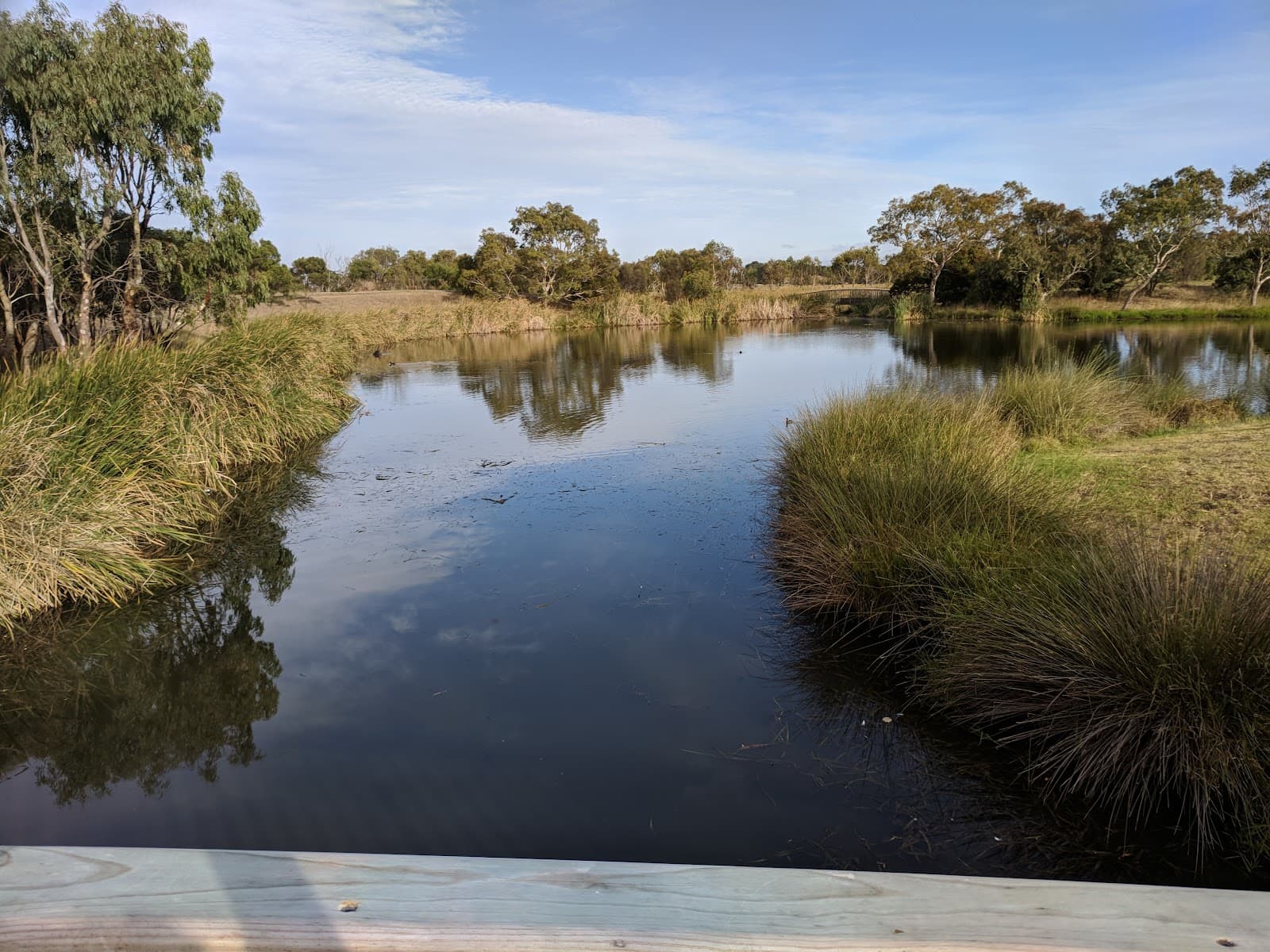 Gateway Sanctuary Leopold - Image 1
