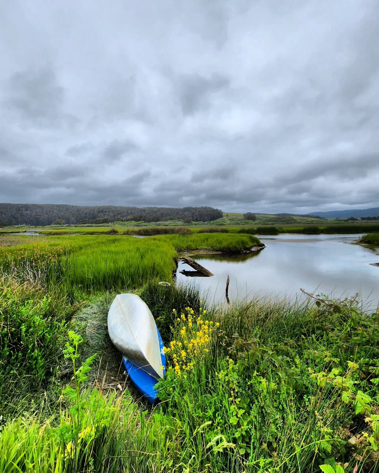 Pescadero Marsh Natural Preserve - Image 1