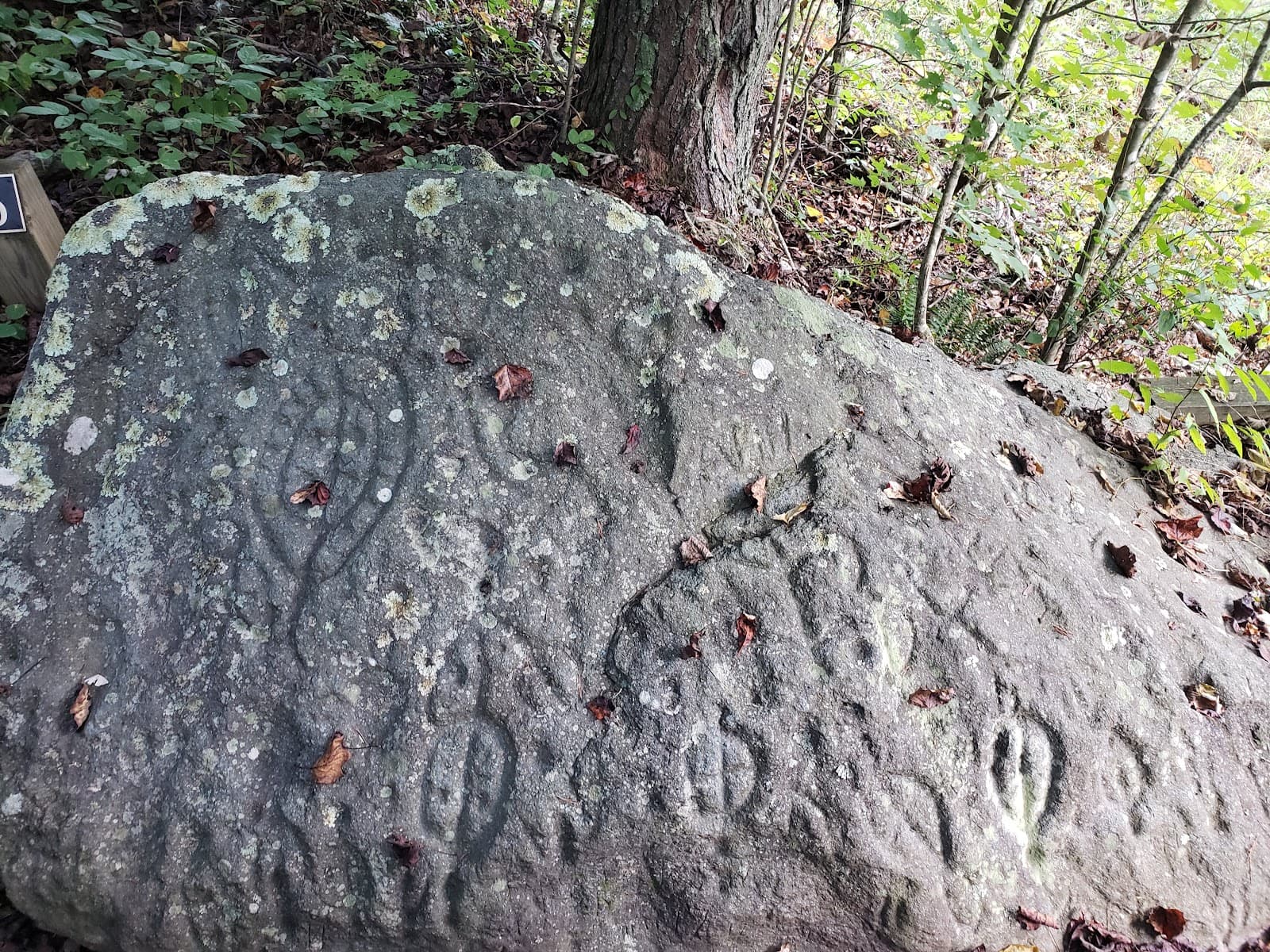 Track Rock Gap Petroglyph Site - Image 1