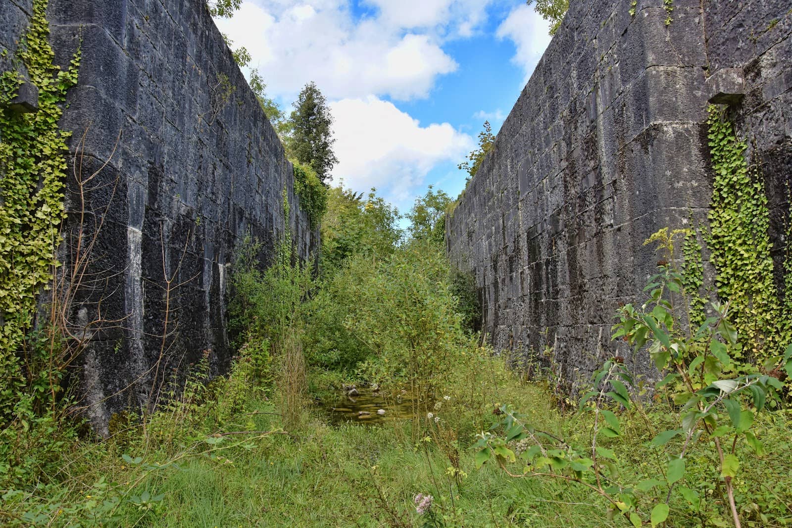 Famine Relief Work Scheme