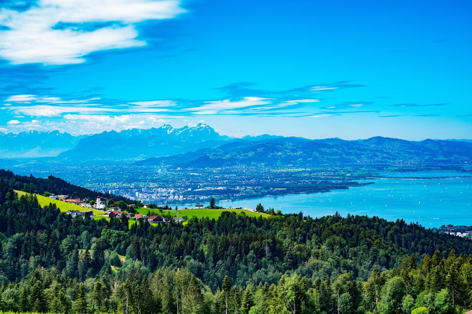 Alpine Wildlife Park