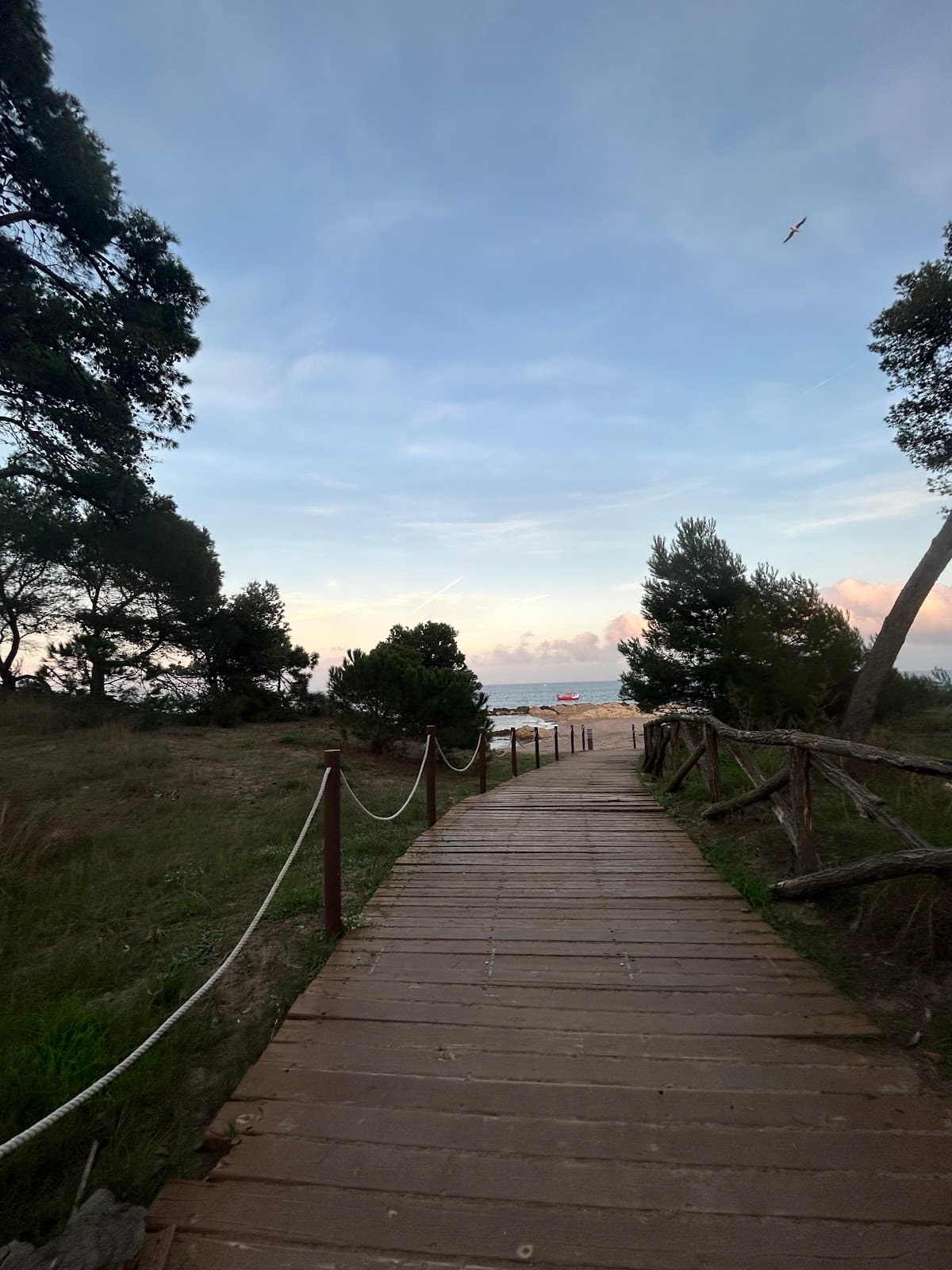Camí de Ronda: Montgó–Punta del Milà - Image 1