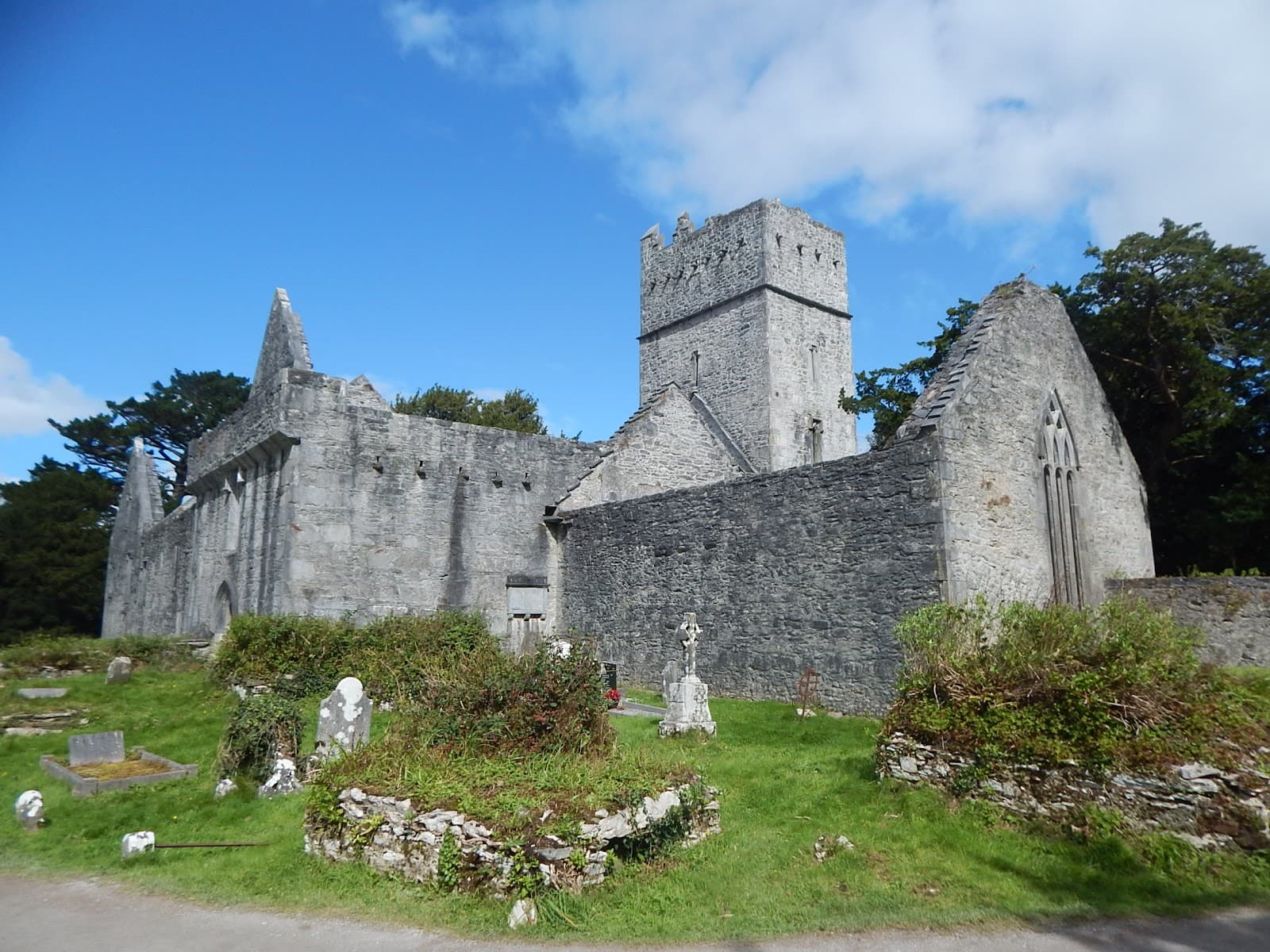 Muckross Abbey - Image 1