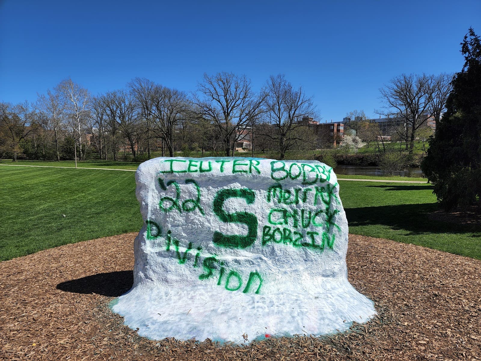 The Rock (MSU) - Image 1