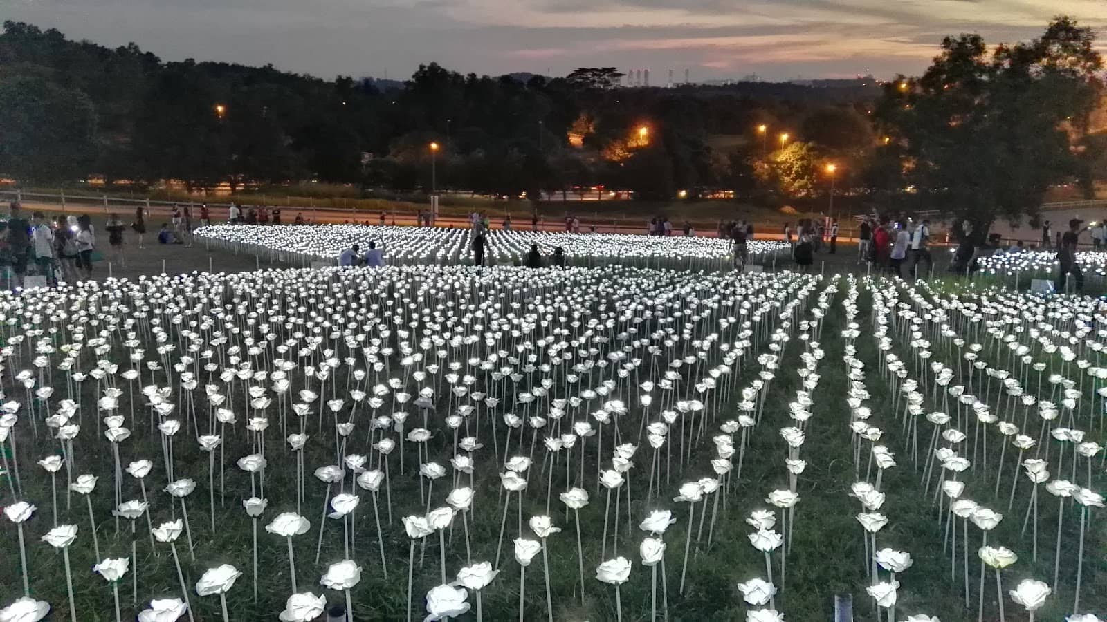 D'LAKESIDE Restaurant