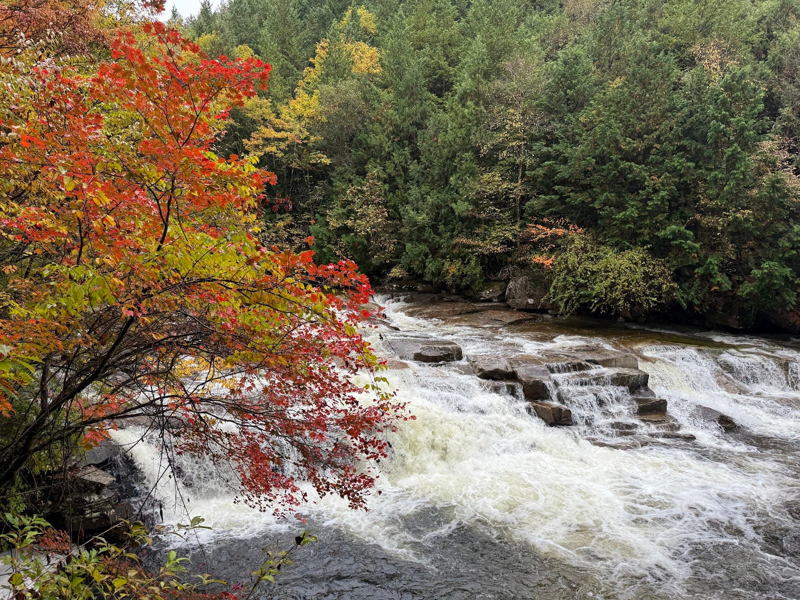Akasawa Natural Recreational Forest - Image 1