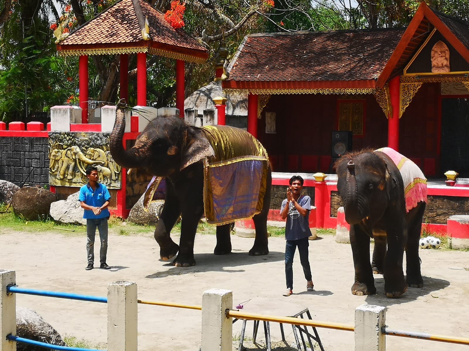 Phuket Zoo - Image 1
