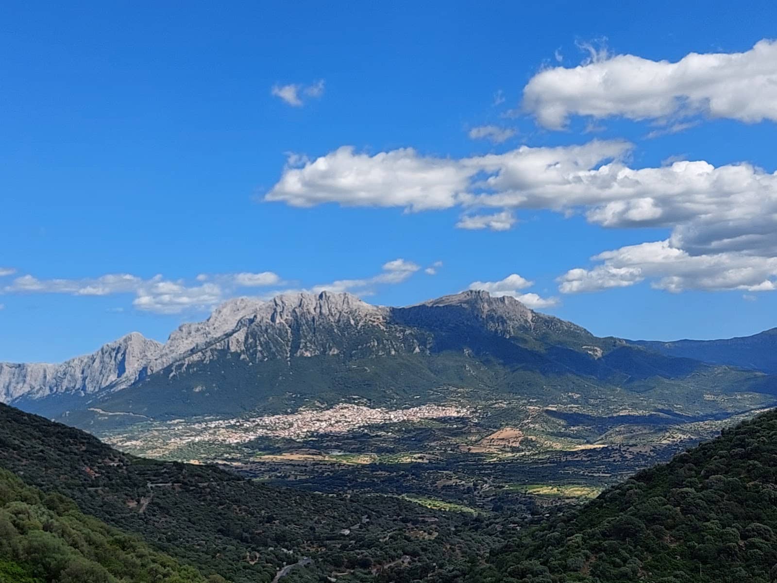 Unique Flora and Fauna