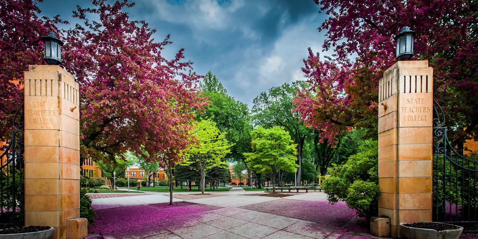 Minnesota State University Moorhead (MSUM) Campus - Image 1
