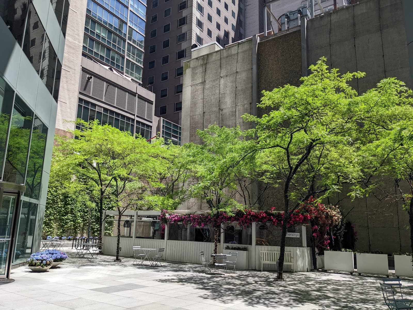 Heron New York City - Image 1