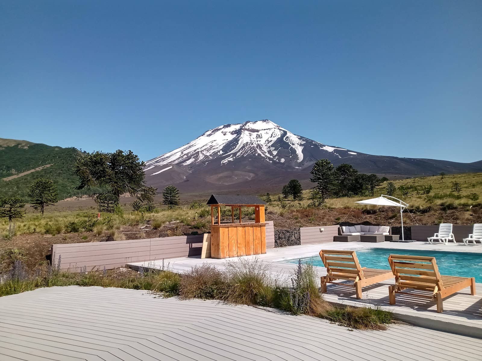 Araucaria Forest Skiing