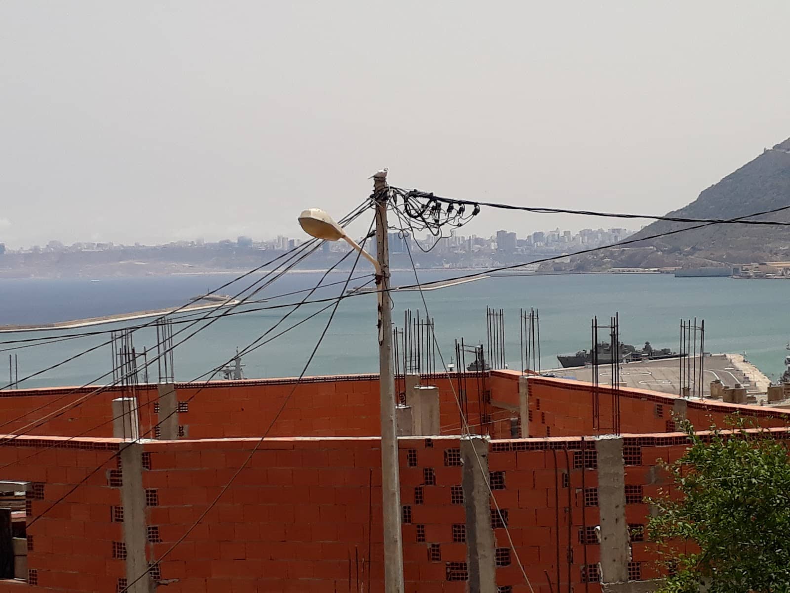 The Spontaneous Street Life