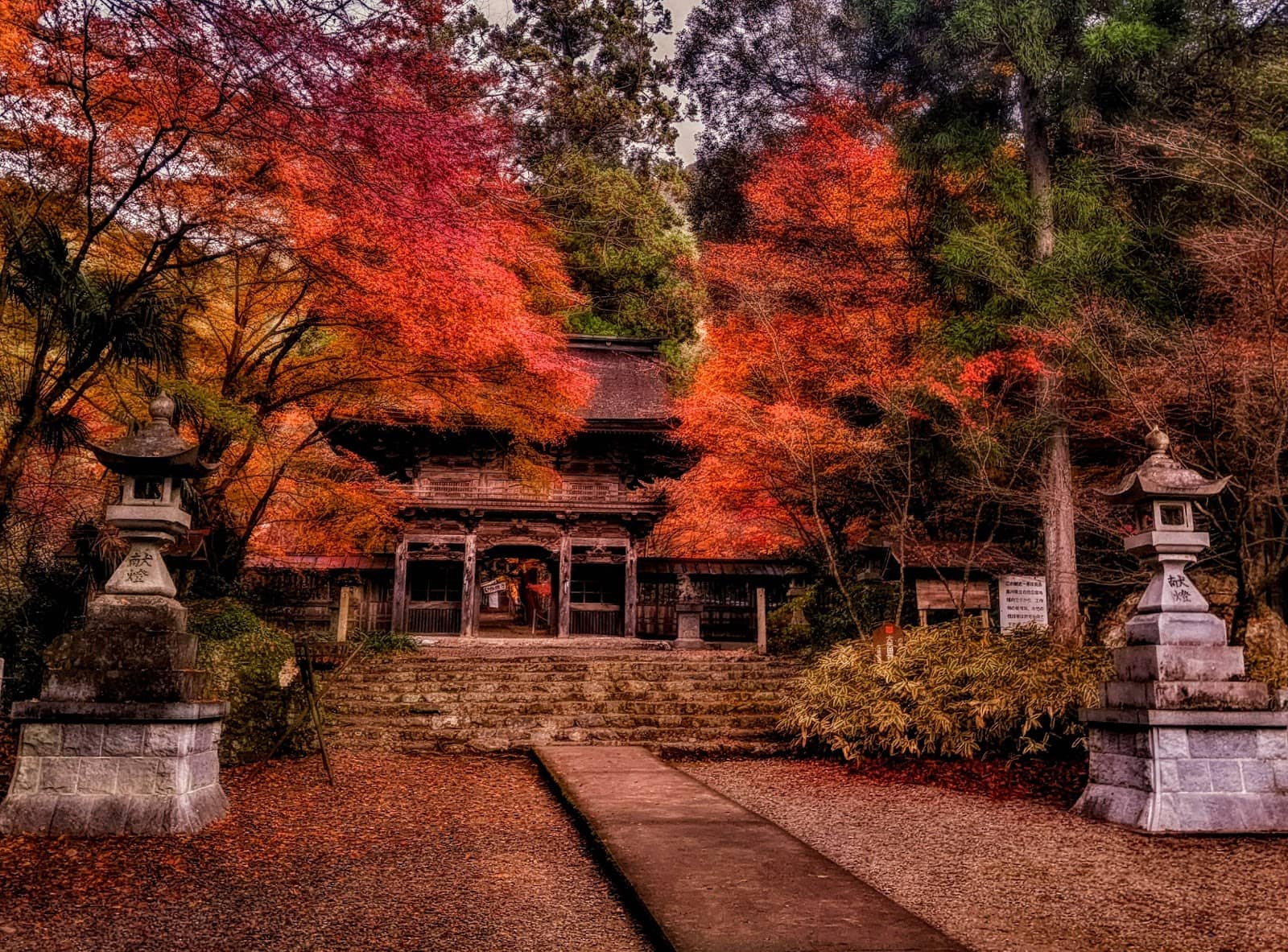 Momiji Goshuin