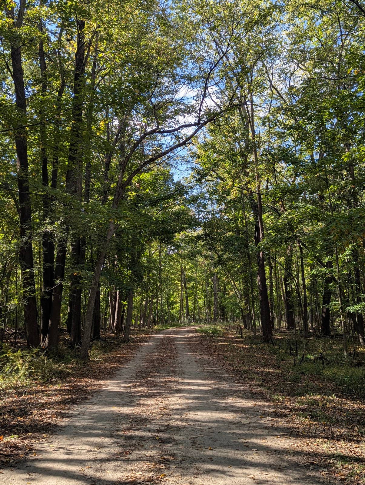 Family-Friendly Exploration