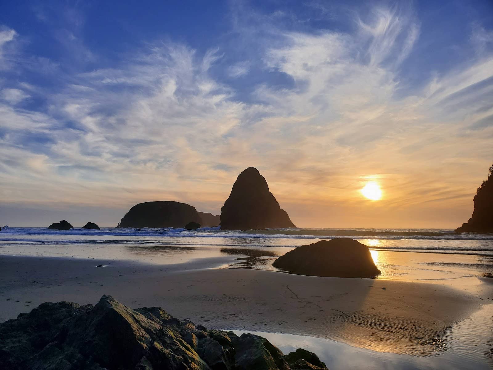 Blackberry Picking (Seasonal)
