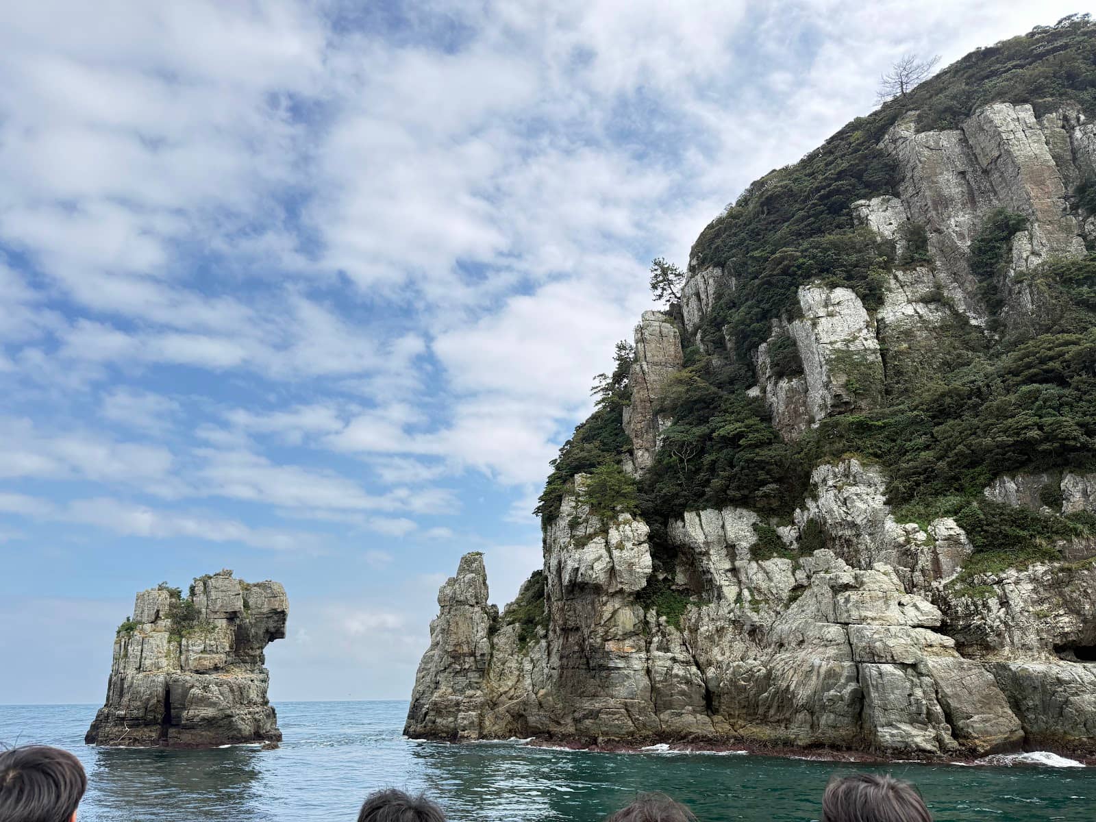 Lush Greenery Contrast