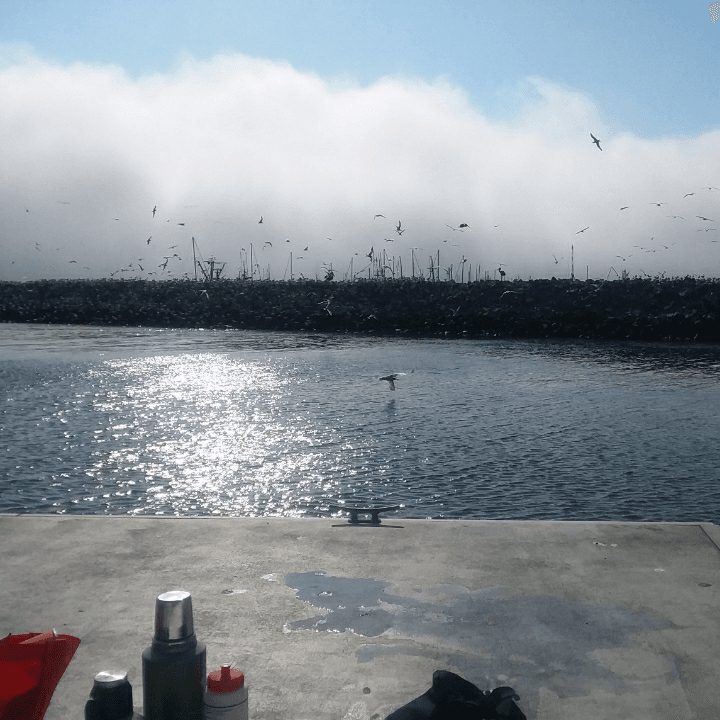 Princeton-by-the-Sea - Image 1