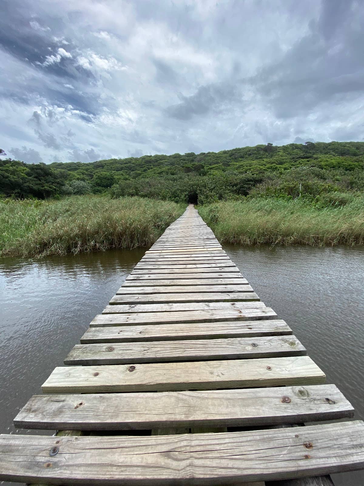 Coastal Beach Access
