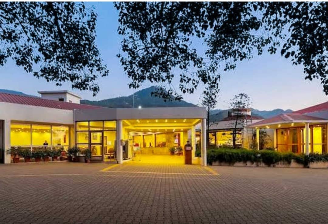 Pines & Cones Restaurant