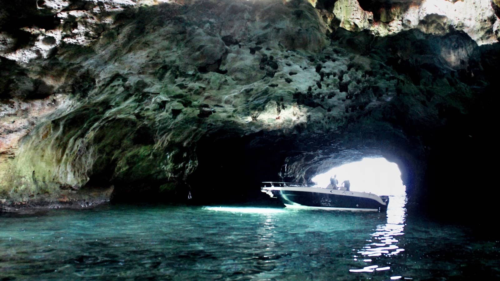 Coastal Views & Swimming