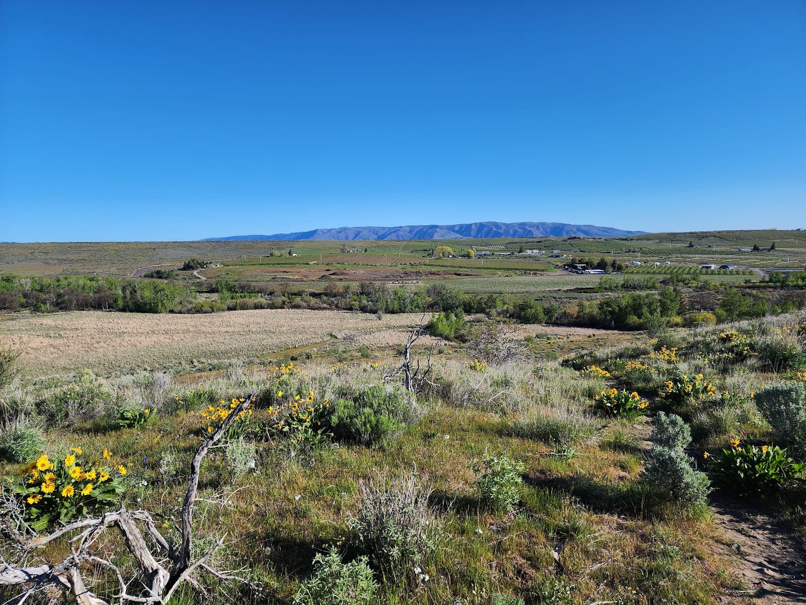 Snow Mountain Ranch (Cowiche Uplands) - Image 1