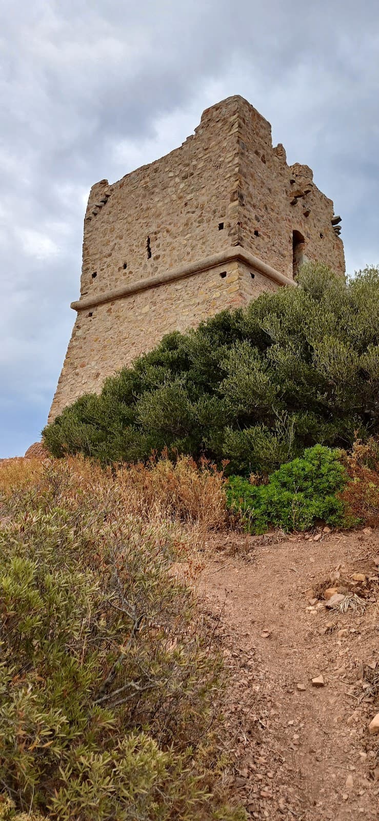 Pinarello Tower - Image 1