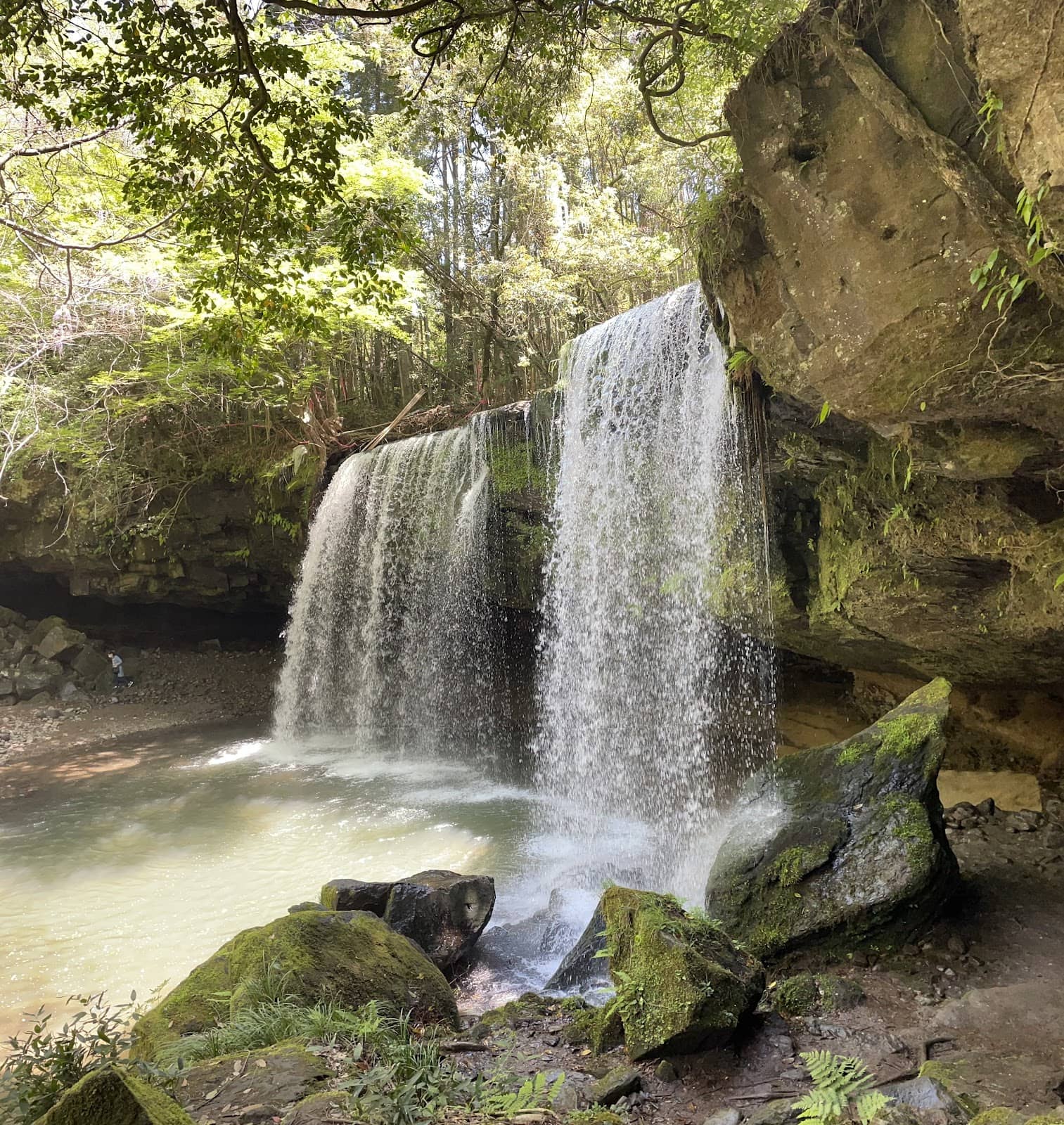 Picturesque Landscape