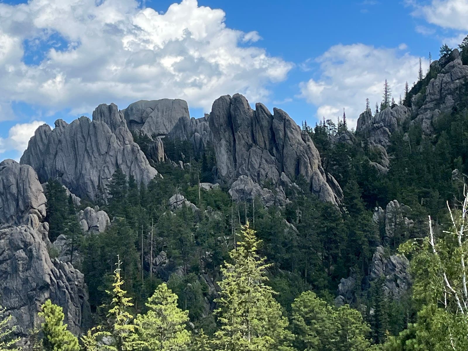 Needles Highway South Dakota - Image 1