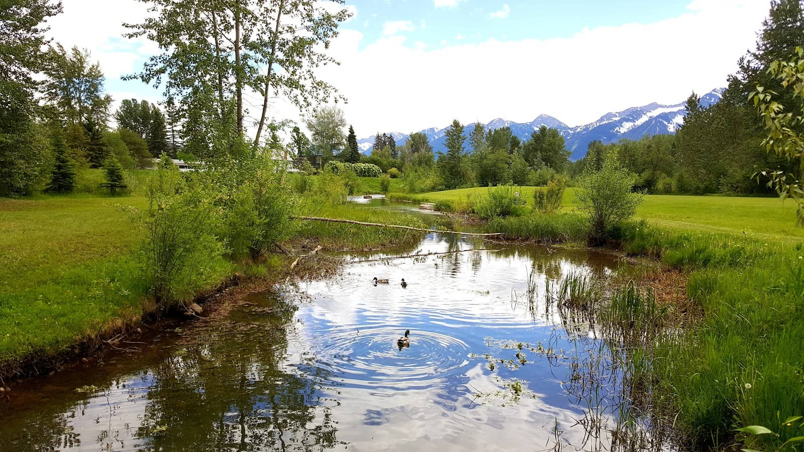 Duck Pond & Amphitheater