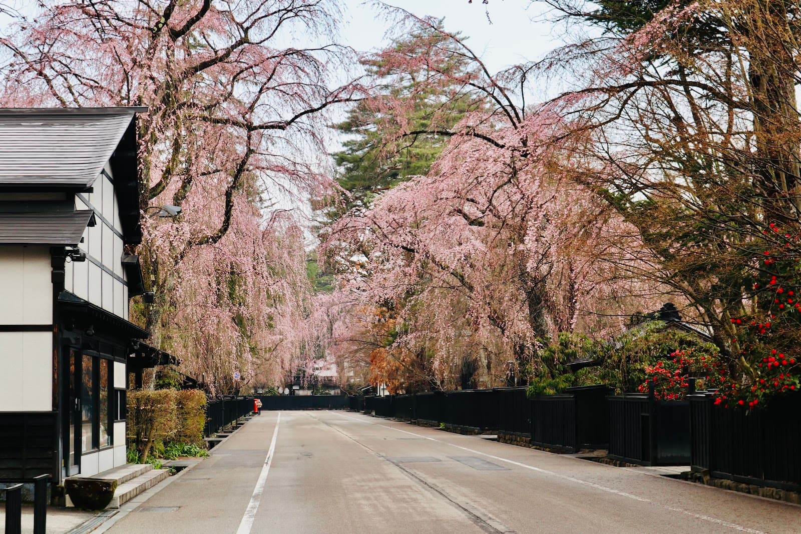 Kakunodate Samurai District - Image 1