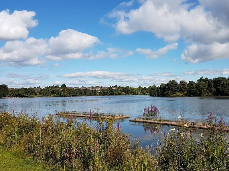 Seven Lochs Wetland Park - Image 1