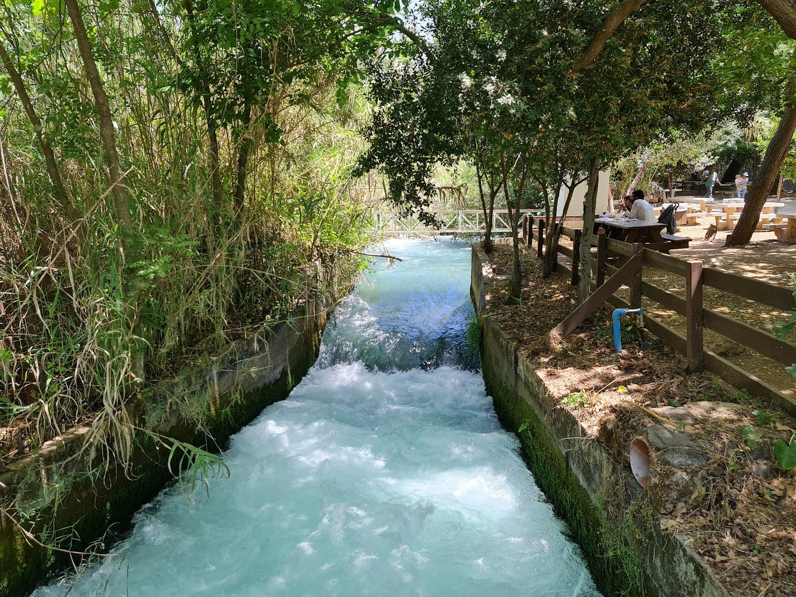 Tel Dan National Park, Israel - Image 1