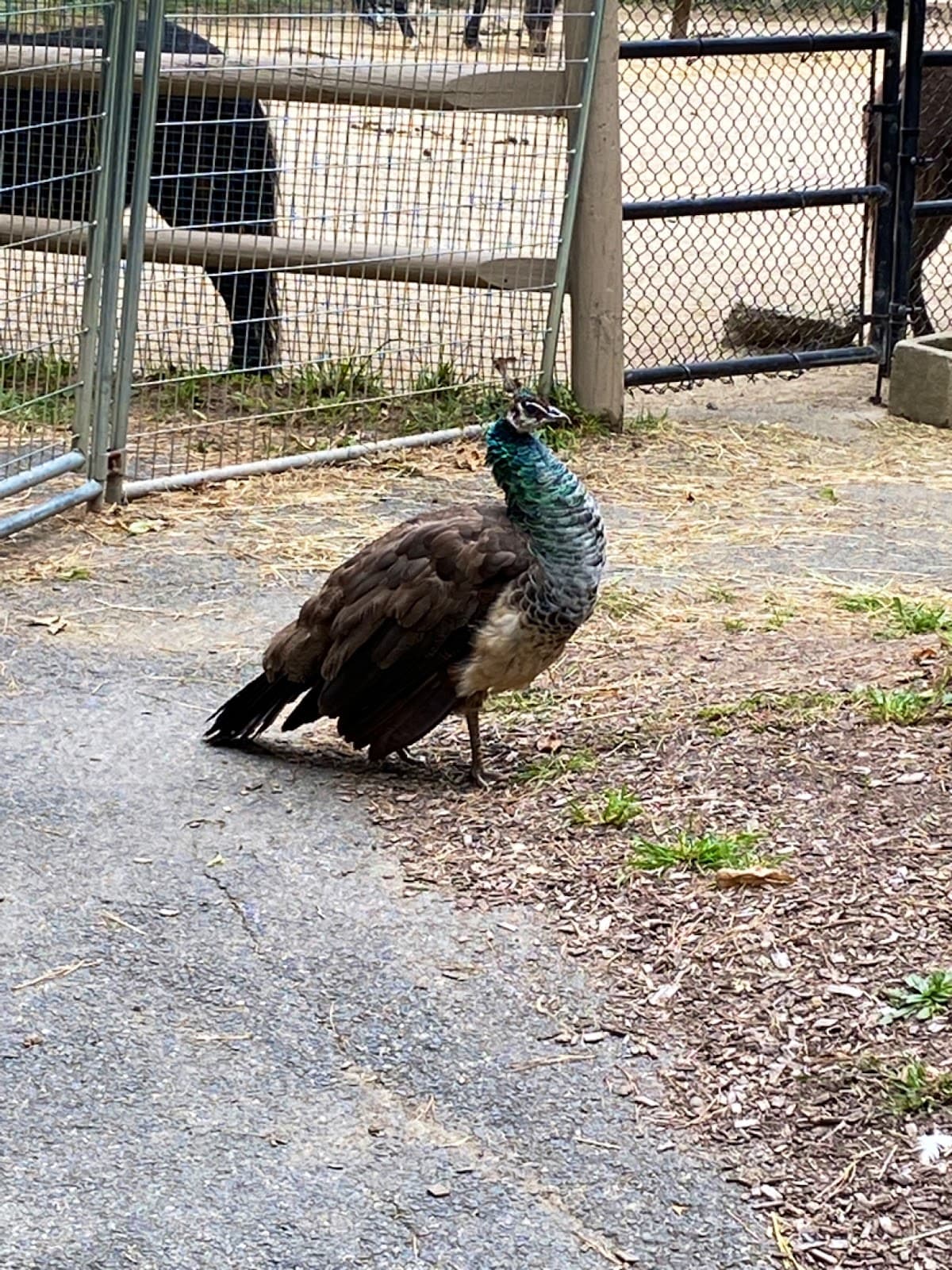 Old Village Historic District - Image 1