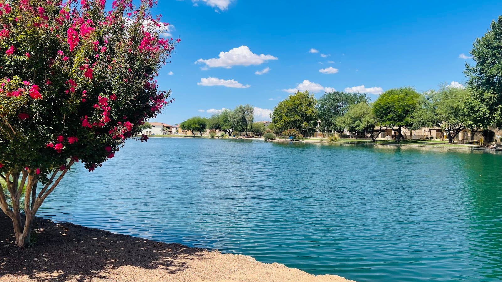 Sahuarita Lake Park - Image 1