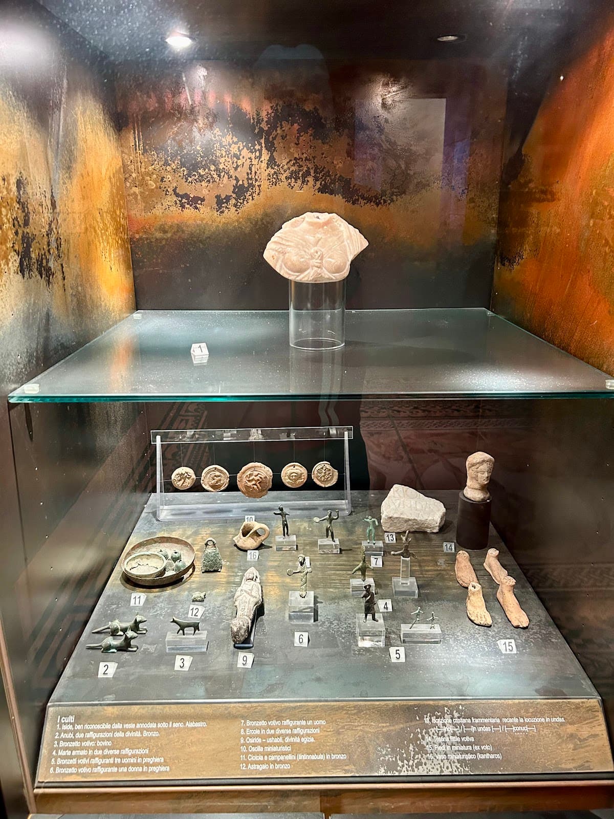 Sassoferrato Archaeological Museum - Image 1