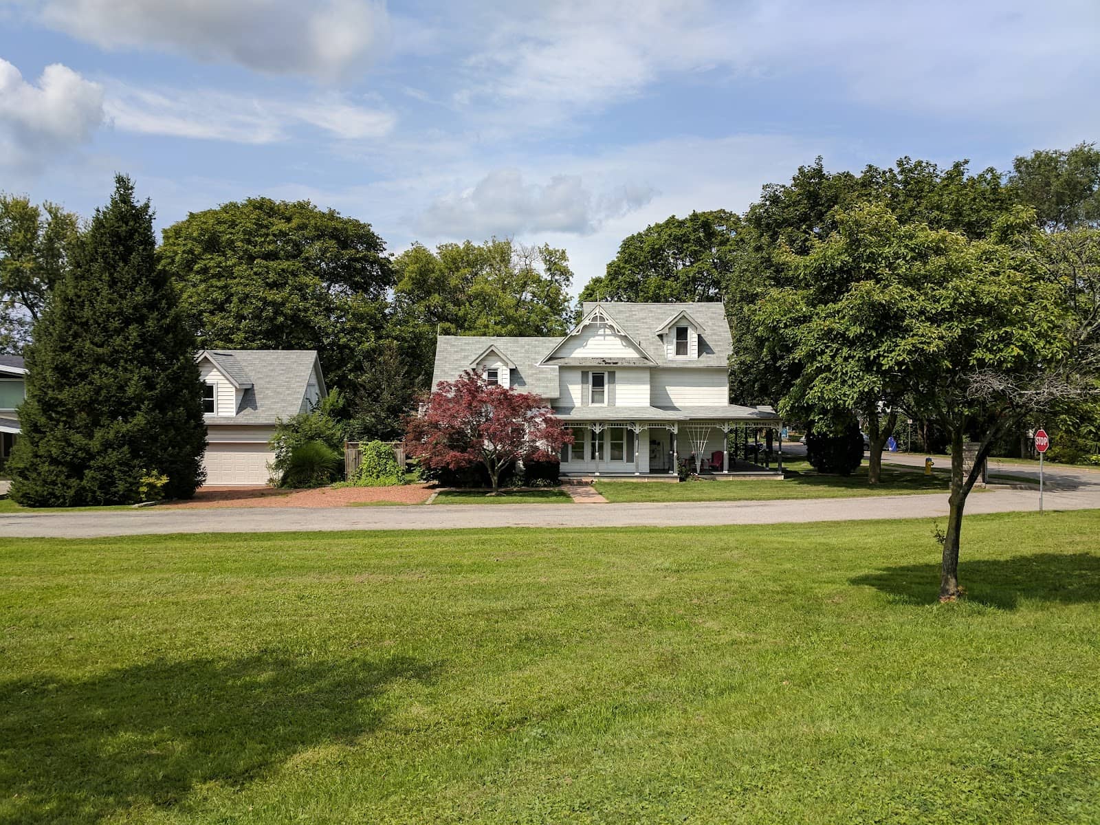 Queenston Mile Vineyard