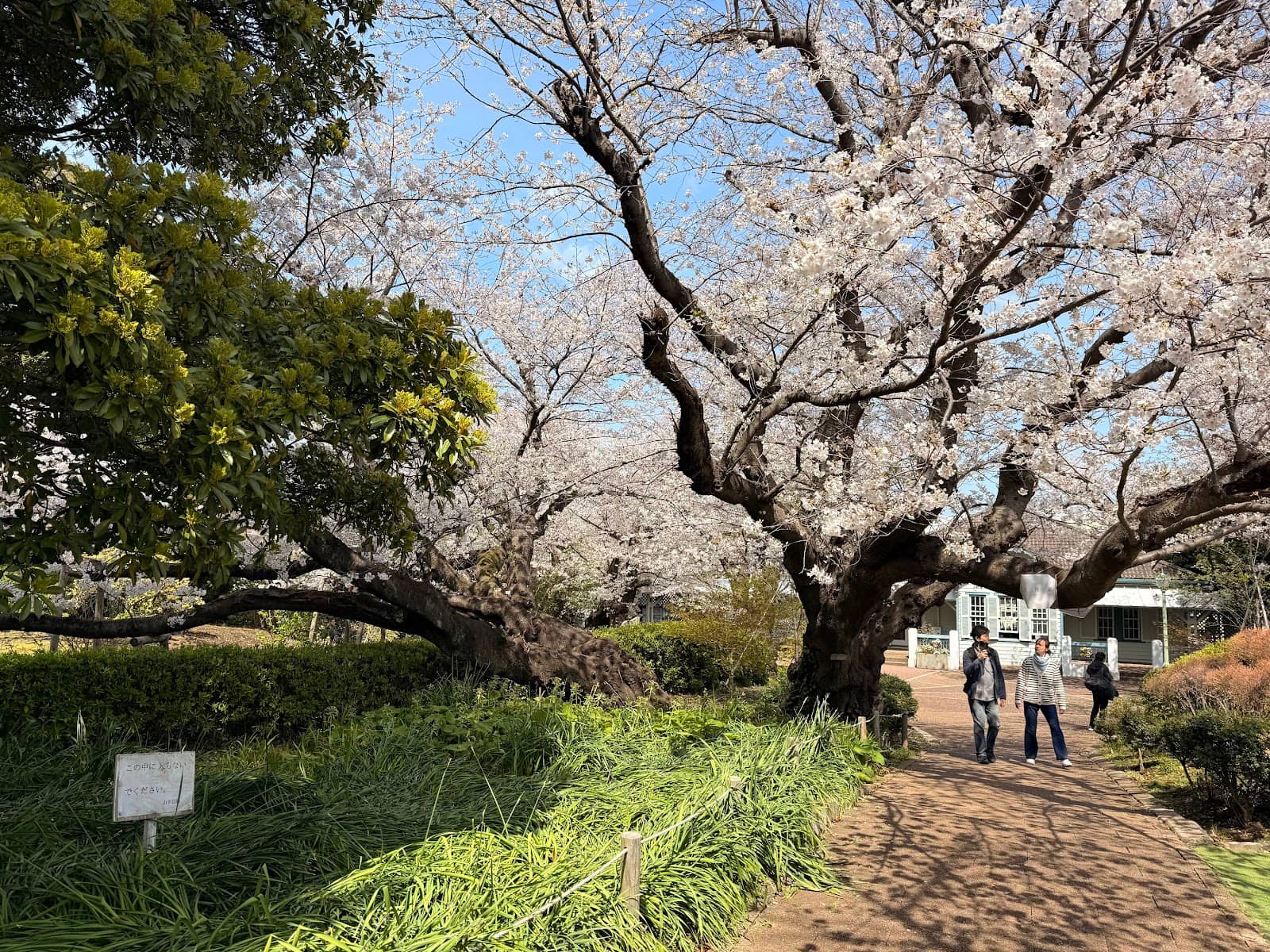 Western-Style Buildings