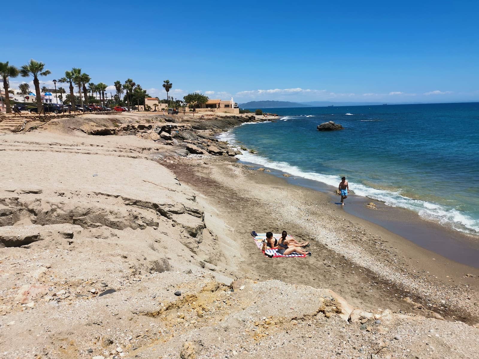 Unique Wildlife Encounters