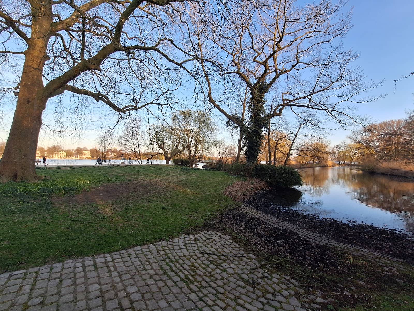 LED SUP Tours at Night