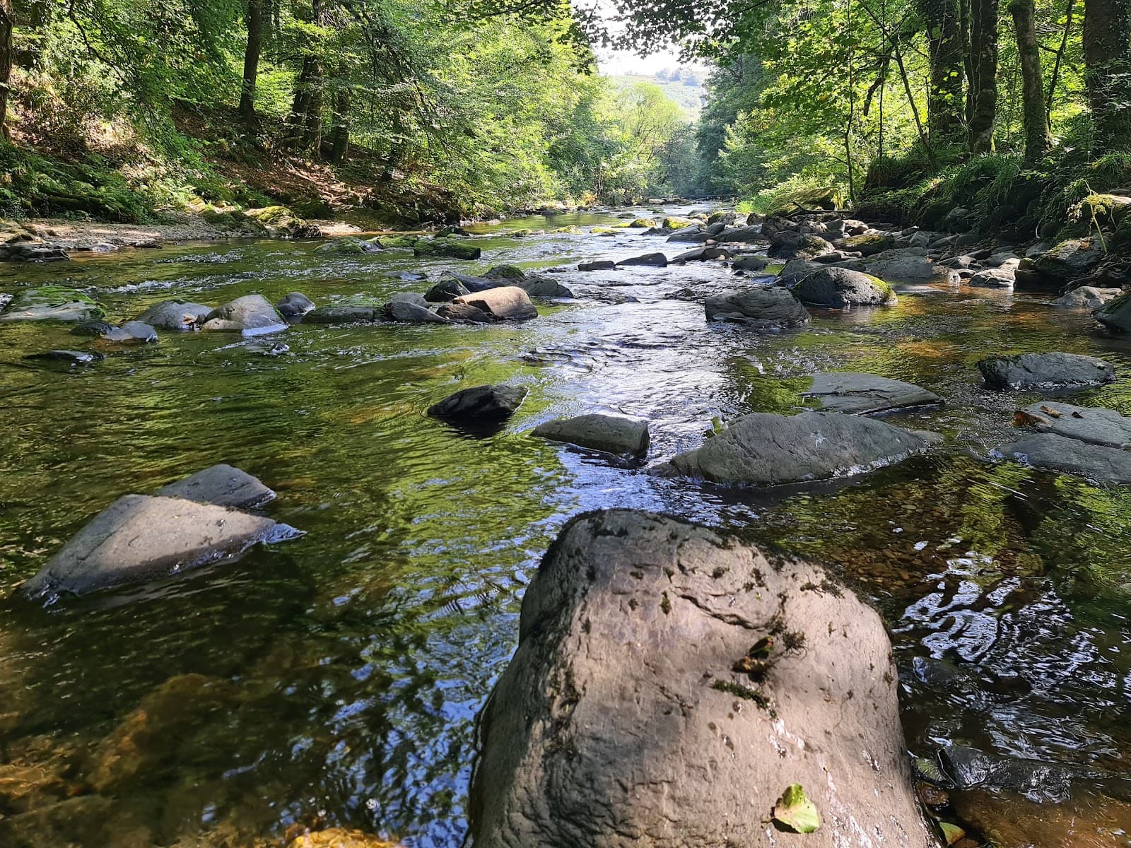 Tarr Steps - Image 1