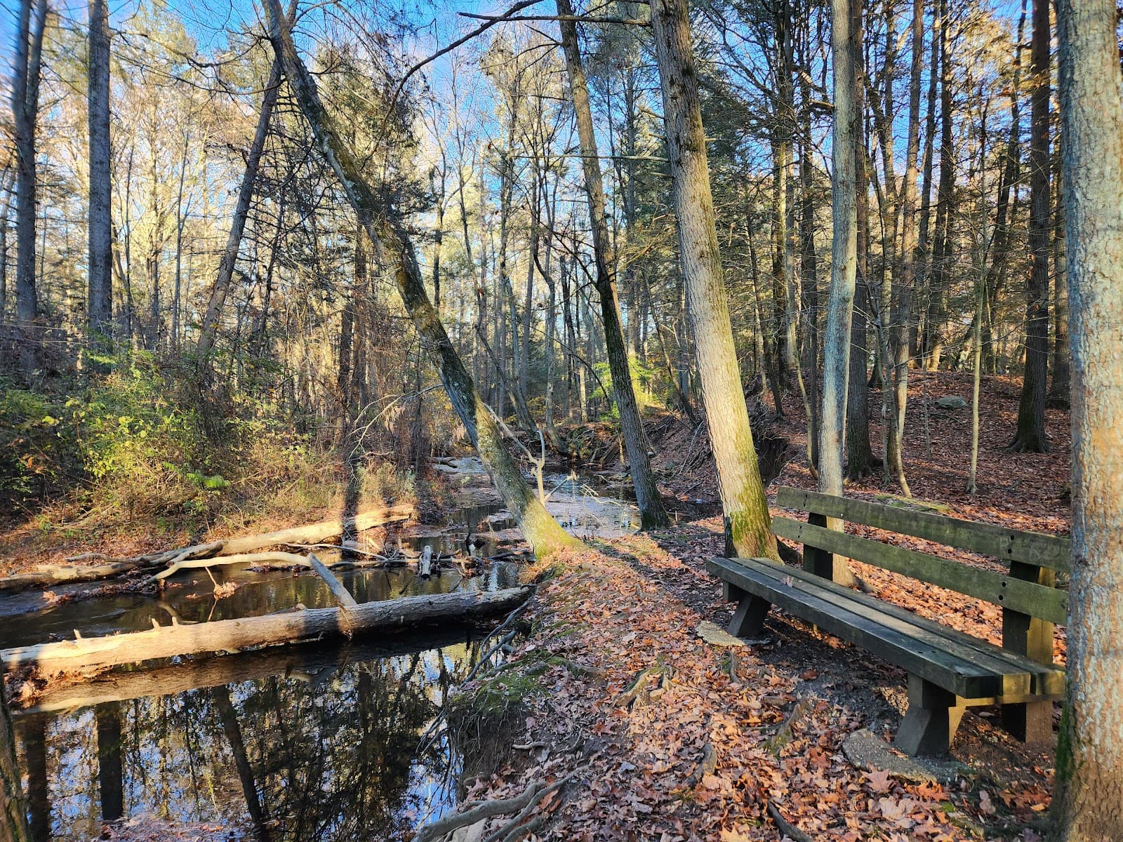 Wepawaug River Falls (Duck Pond) - Image 1