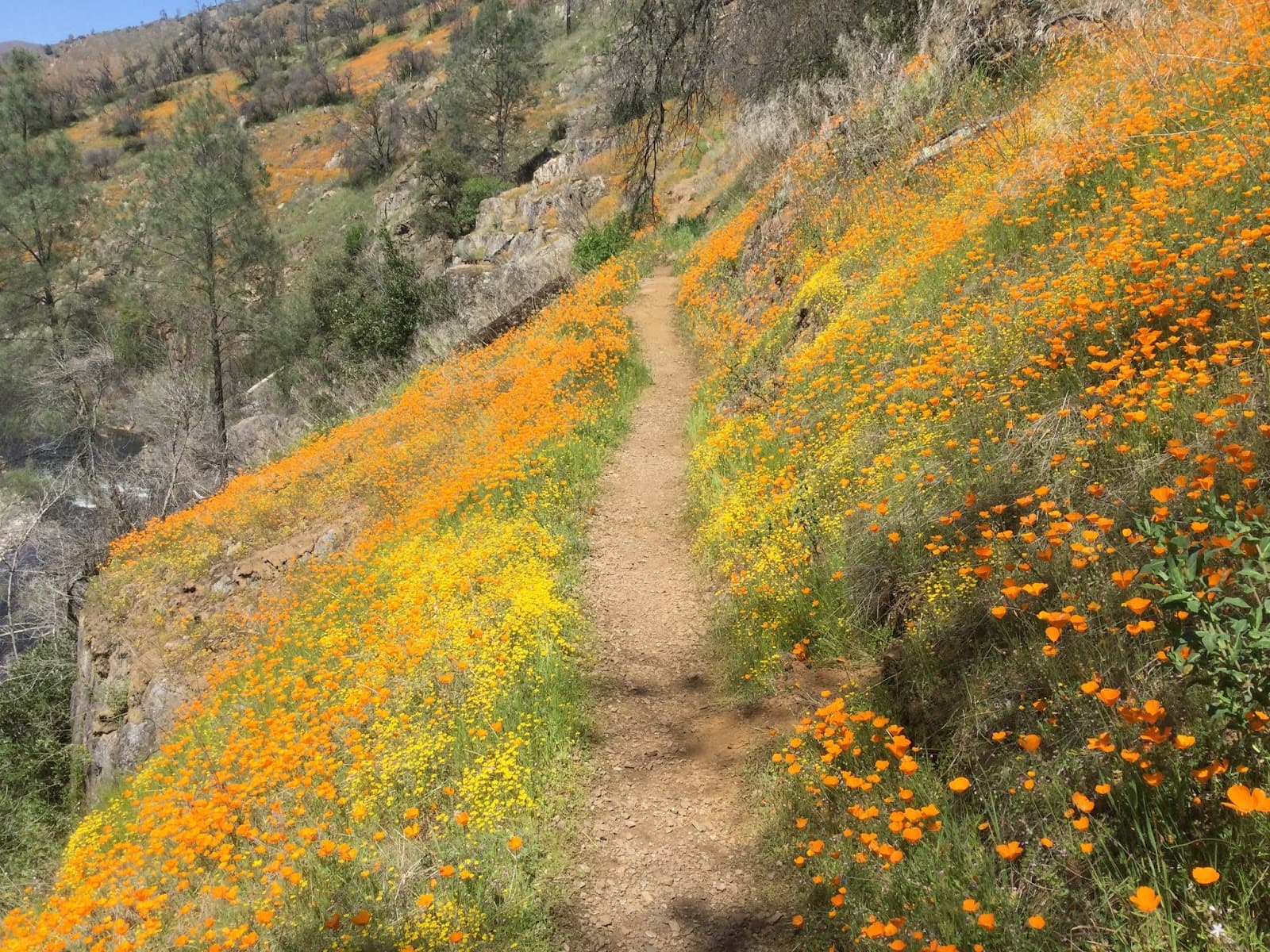 Hite Cove Trail - Image 1