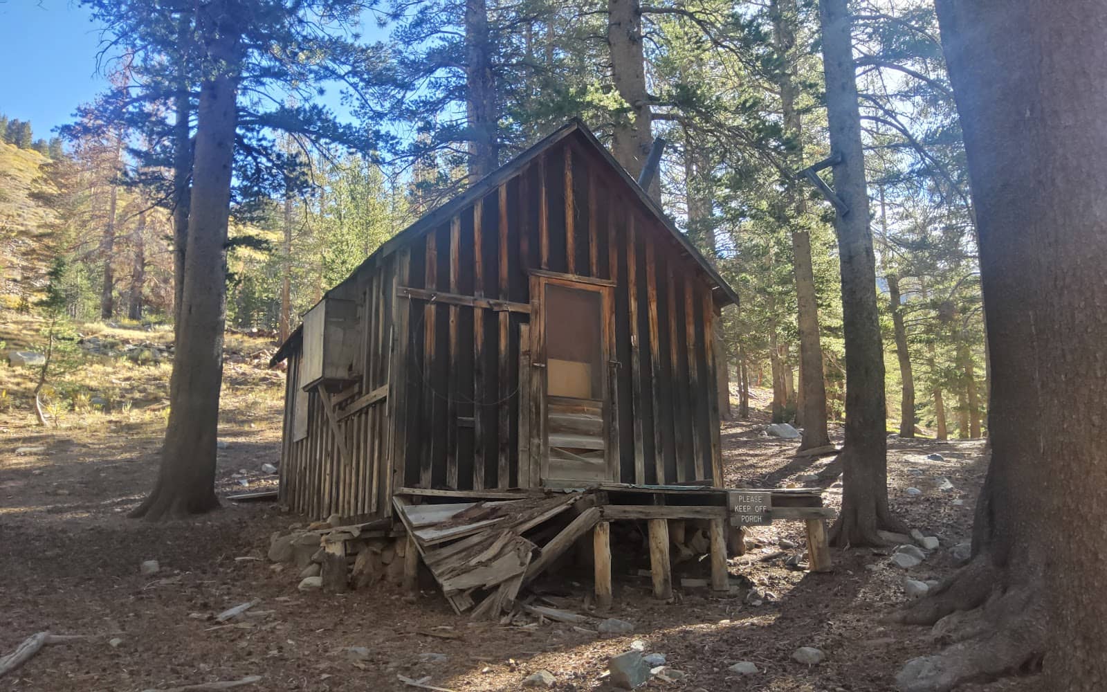 Scenic Views and Wildlife