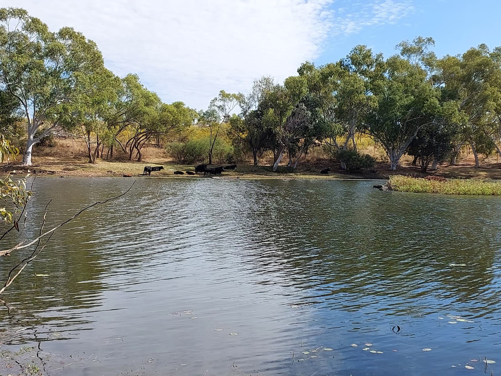 East Leichhardt Dam - Image 1