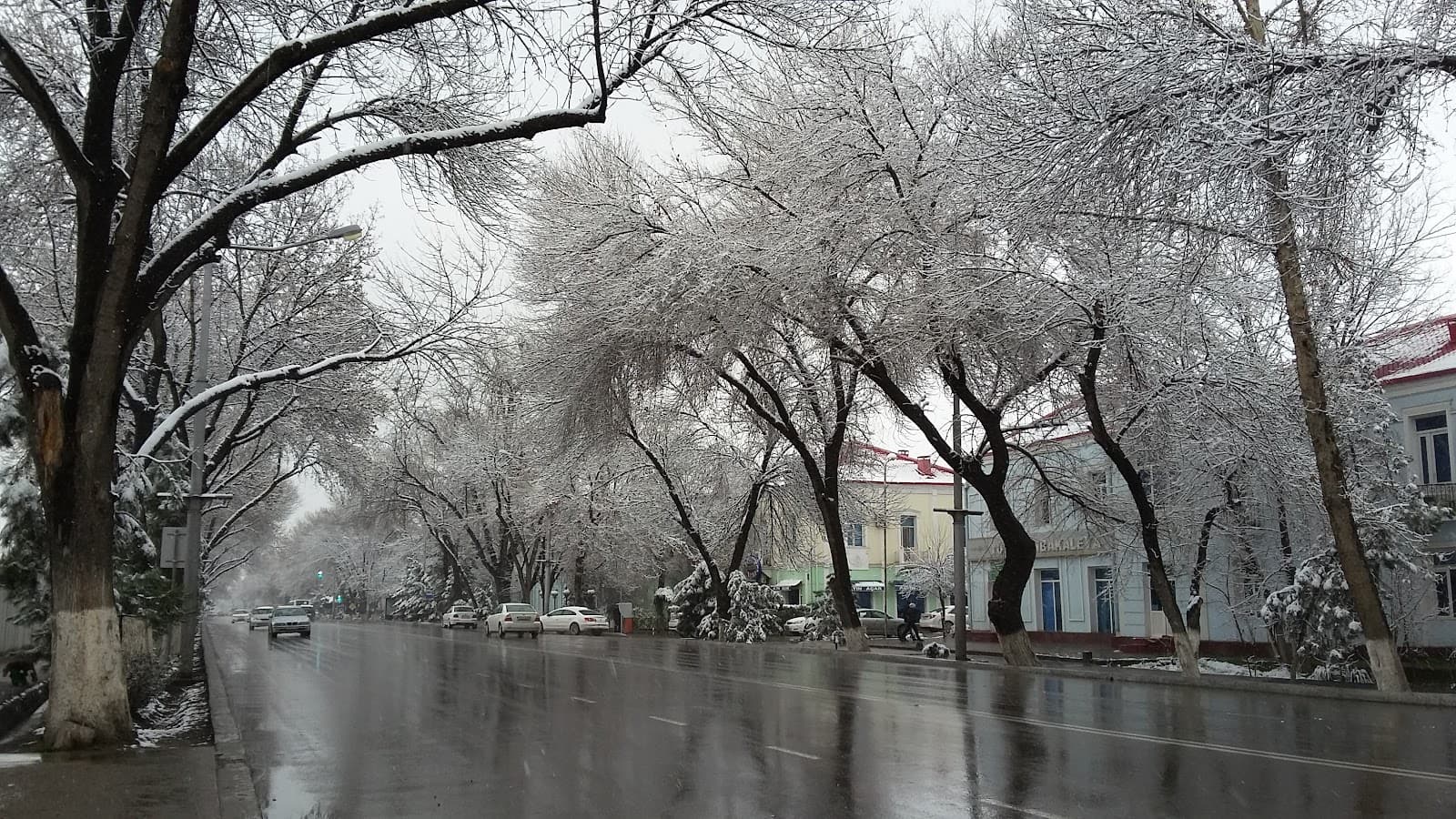 Magtymguly Avenue - Image 1