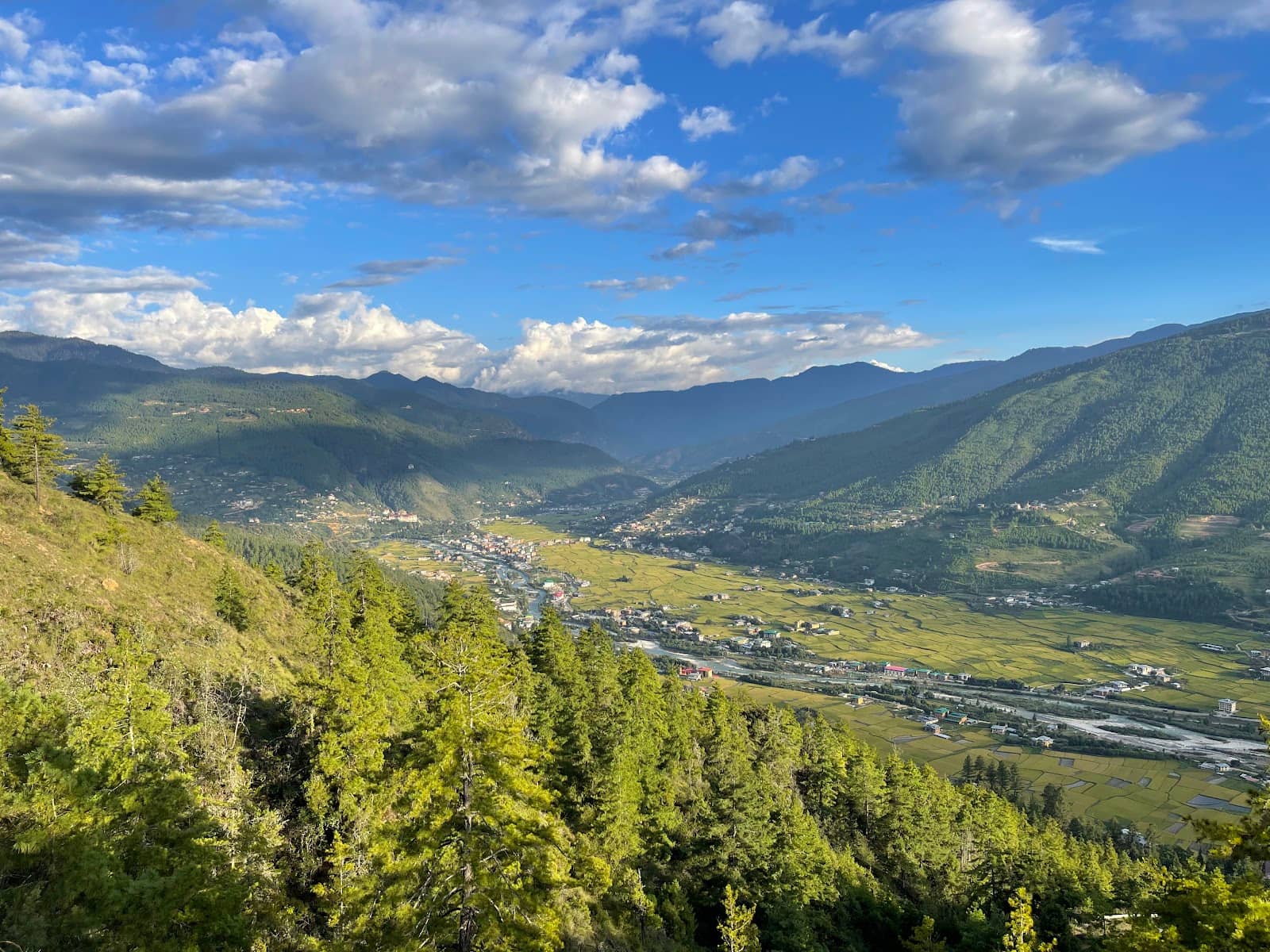 Historic Dzong Architecture