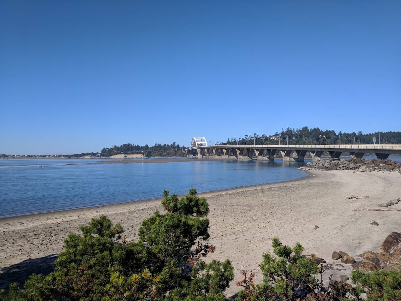Waldport's Origins